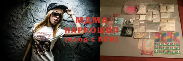 индика Пестово