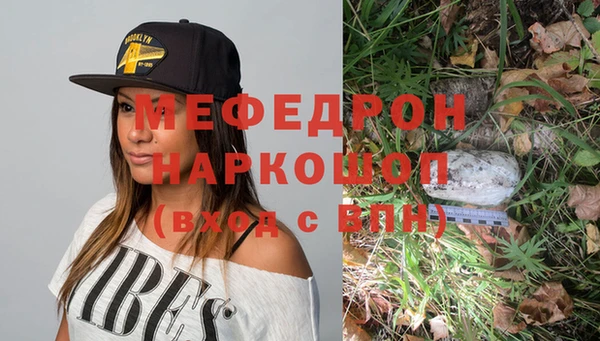 прущие грибы Осташков
