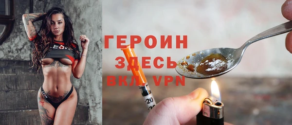 индика Пестово