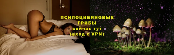 индика Пестово