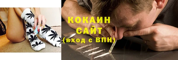 прущие грибы Осташков