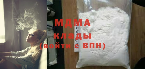 индика Пестово