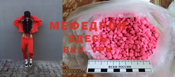 индика Пестово