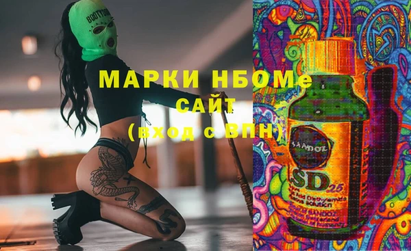 прущие грибы Осташков